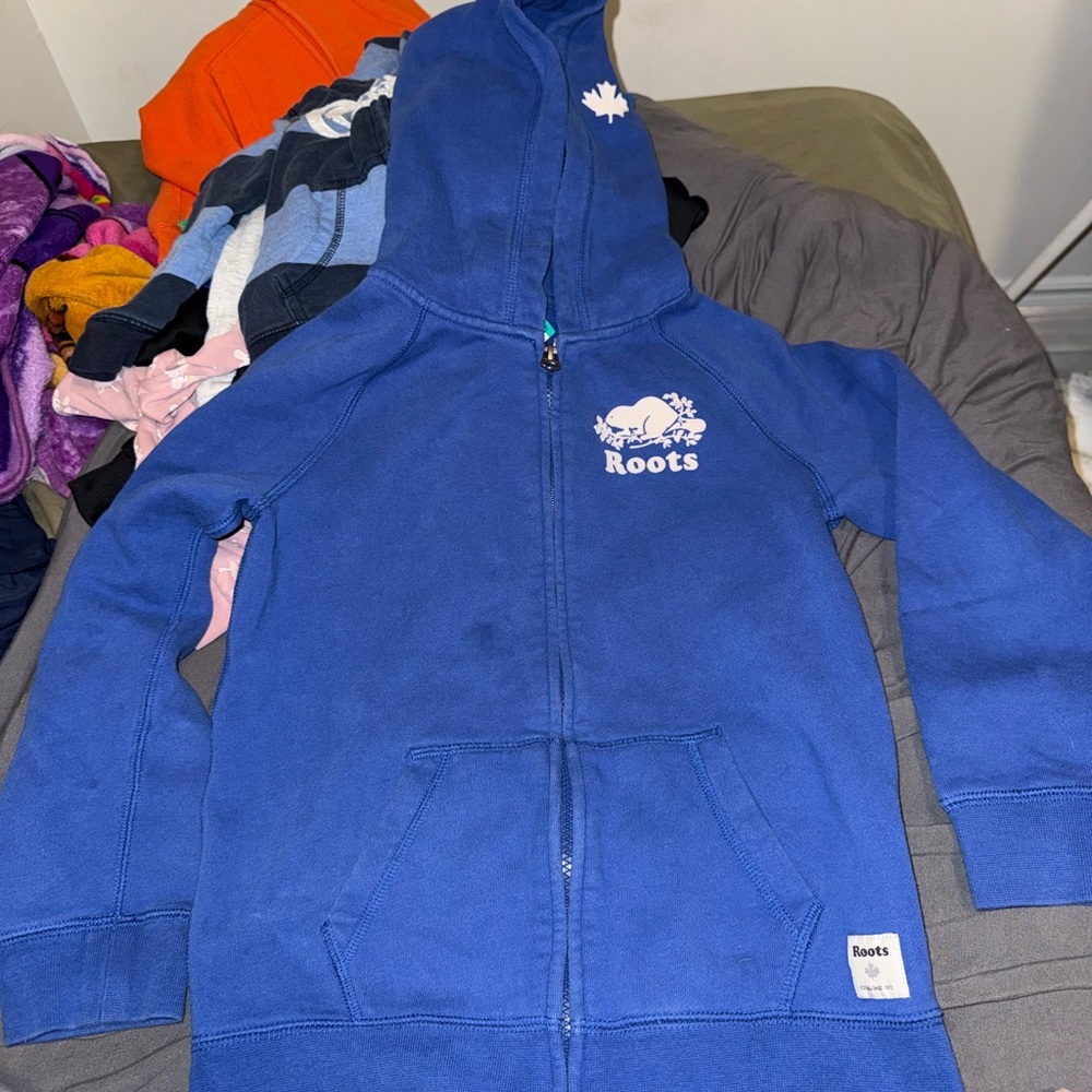 Roots Blue Kids Hoodie